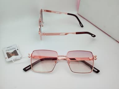 Raj Optical
