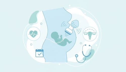 Pregnancy Me Ultrasound Kab-Kab Hota Hai? Level-2 Scan Kya Hai