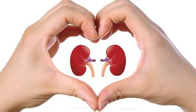 Dr Bheem Raj Gupta- Best Nephrologist in Noida, Chronic Kidney Disease(CKD) Specialist, Dialysis, Kidney Failure Treatment Dr Bheem Raj Gupta- Best Nephrologist in Noida, Chronic Kidney Disease(CKD) Specialist, Dialysis, Kidney Failure Treatment