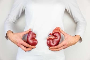Dr. Maulik Shah | Nephrologist In Anand | Kidney Specialist In Anand Dr. Maulik Shah | Nephrologist In Anand | Kidney Specialist In Anand