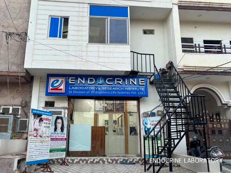 Endocrine Laboratory Bikaner Endocrine Laboratory Bikaner - endocrinologist in Bikaner