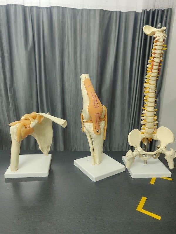 Salem Orthopaedic Surgery Salem Orthopaedic Surgery - Orthopedic Surgeon in Salem