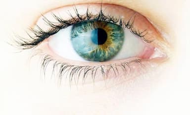 Eyeris Eye Care Eyeris Eye Care