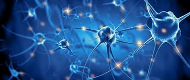 North Texas Neurology & Neuropathy: Devanshi Gupta, MD North Texas Neurology & Neuropathy: Devanshi Gupta, MD