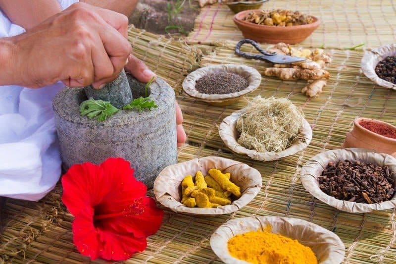 Veda Wellness- Ayurveda & Holistic Wellness Services Veda Wellness- Ayurveda & Holistic Wellness Services - Ayurvedic General Medicine in Aizawl