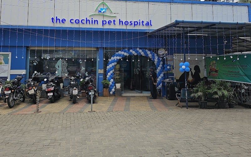 Felican Pet Hospital Felican Pet Hospital