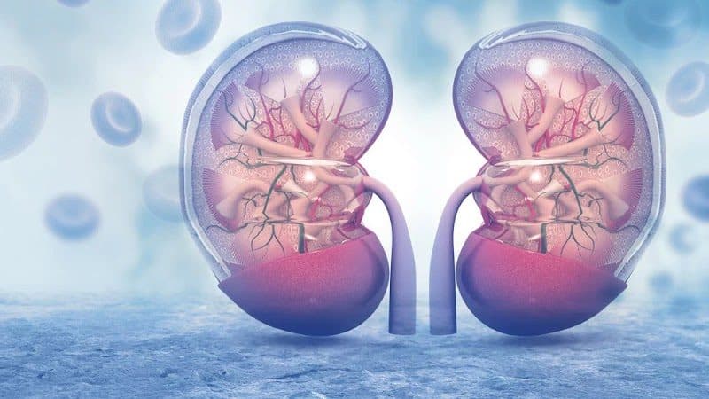 7Med Hospital - Varanasi | Dialysis | MultiSpecality Hospital | Best Dialysis Center 7Med Hospital - Varanasi | Dialysis | MultiSpecality Hospital | Best Dialysis Center