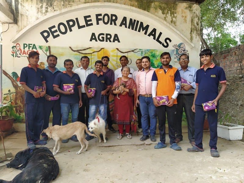 People for Animals Agra hospital People for Animals Agra hospital